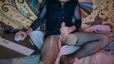 Snapshot of stseal3 chatting on 04/26/26, 04:21 stseal3 online show from 04/26/26, 04:21