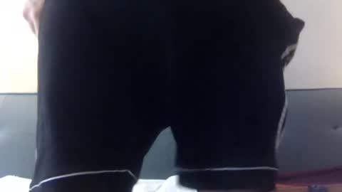 Snapshot of stud4u21 chatting on 10/14/25, 05:14 stud4u21 online show from 10/14/25, 05:14