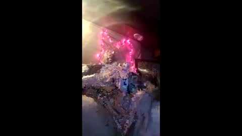 studio311 online show from 02/07/26, 12:20