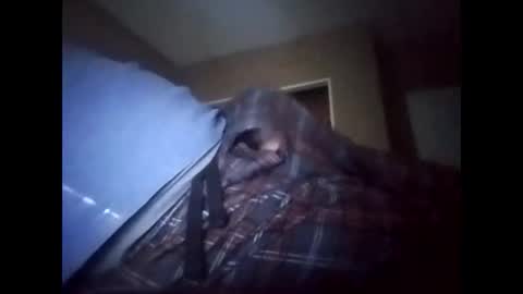 suavecito123828379 online show from 01/17/26, 08:45