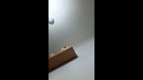 sub199958 online show from 12/21/25, 05:42