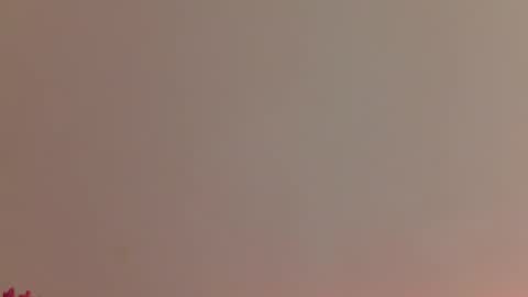 Snapshot of sublimecarla chatting on 05/22/26, 11:05 Carla online show from 05/22/26, 11:05