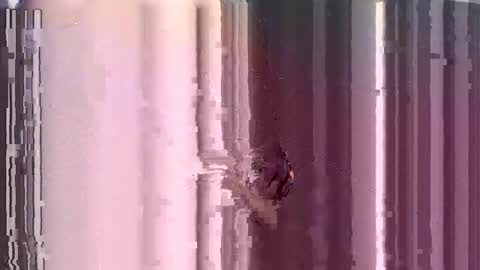 Snapshot of submissive_kory chatting on 12/03/24, 10:28 ControlMeViaTeamviewer online show from 12/03/24, 10:28