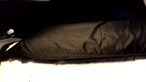 between my legs online show from 06/17/26, 03:35