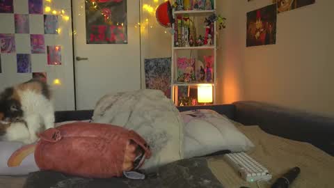 Snapshot of succubus_66 chatting on 02/12/25, 11:40 succubus_66 online show from 02/12/25, 11:40