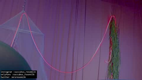 Succubus RoseMilk online show from 01/27/25, 02:53