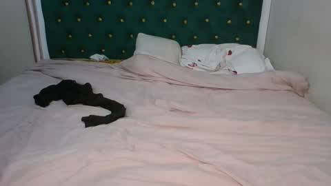 sugarboogers_ online show from 02/12/26, 02:50