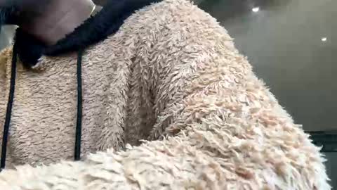 Snapshot of sugarcockydaa chatting on 01/22/25, 10:29 sugarcockydaa online show from 01/22/25, 10:29