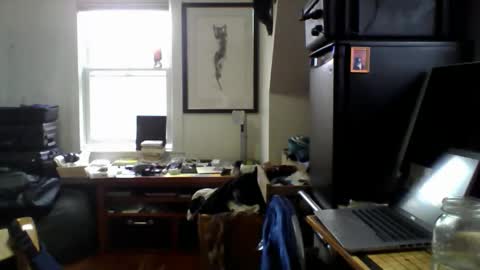 Snapshot of sugardotdom chatting on 04/14/26, 02:01 Sugar online show from 04/14/26, 02:01