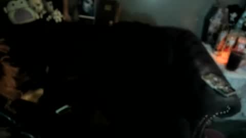 Sugary online show from 01/19/26, 11:25