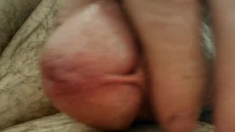 Snapshot of sugus56 chatting on 05/19/26, 02:56 Samenspender online show from 05/19/26, 02:56
