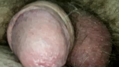 Snapshot of sugus56 chatting on 05/20/26, 06:19 Samenspender online show from 05/20/26, 06:19