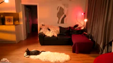 Lika ginger  Jessy blond   online show from 04/16/26, 02:12