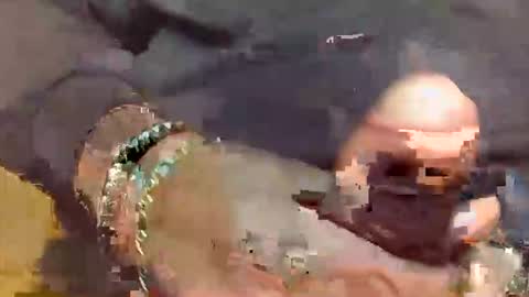 Snapshot of sukkaluvva chatting on 09/28/25, 08:20 SUKKALUVVA online show from 09/28/25, 08:20