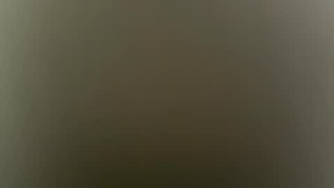 Snapshot of sulyrouse chatting on 02/04/26, 05:02 suly online show from 02/04/26, 05:02