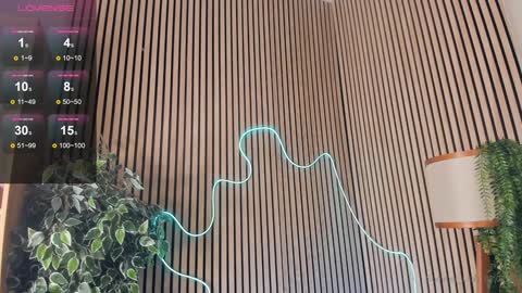 Nelly online show from 02/02/25, 03:39