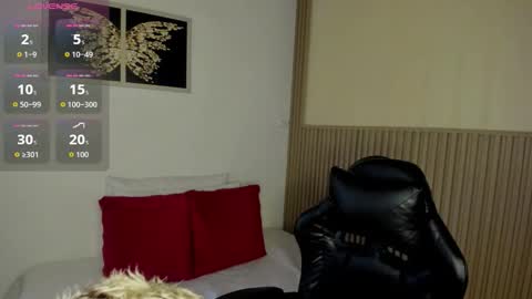 Summer online show from 03/19/26, 11:36