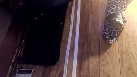 Snapshot of summerdivine69 chatting on 02/22/25, 08:53 Summer Divine online show from 02/22/25, 08:53