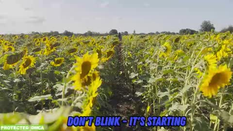 Snapshot of sunflower0907 chatting on 02/09/26, 01:15 Tina. Im topless model online show from 02/09/26, 01:15