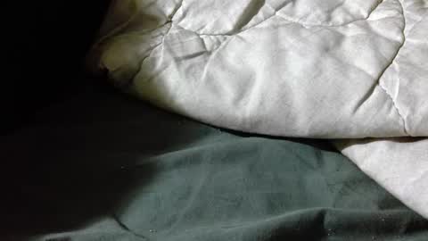 Snapshot of sungam3d chatting on 04/19/26, 07:16 Shy guy online show from 04/19/26, 07:16