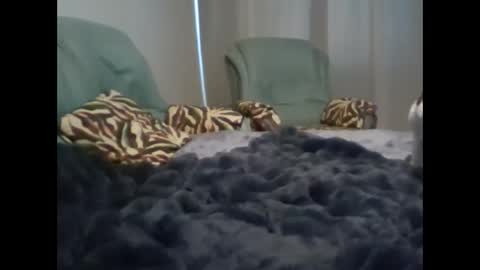 Snapshot of suni_bitch chatting on 03/07/25, 05:08 suni online show from 03/07/25, 05:08