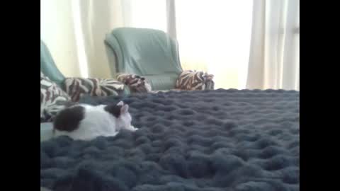 Snapshot of suni_bitch chatting on 03/10/25, 11:42 suni online show from 03/10/25, 11:42