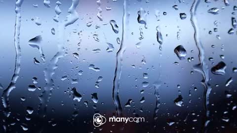 sven online show from 02/10/26, 08:07