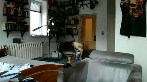 sunr1sa online show from 12/07/24, 07:49