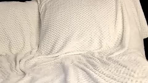 Annie online show from 03/12/25, 10:17