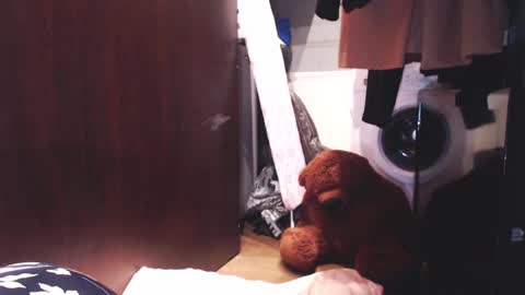 Snapshot of sunshinehella chatting on 12/03/24, 07:10 Hella online show from 12/03/24, 07:10