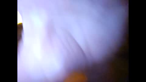 Snapshot of suntroll chatting on 02/07/25, 11:01 Suntroll online show from 02/07/25, 11:01