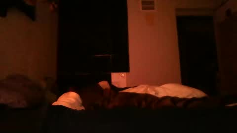 supermanloverhg online show from 12/08/24, 05:50