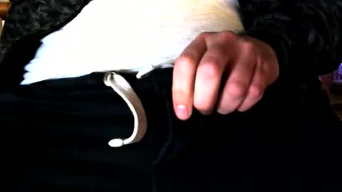 Snapshot of superstuntman1 chatting on 02/10/25, 07:36 superstuntman1 online show from 02/10/25, 07:36