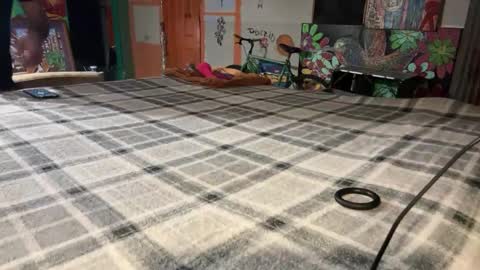 Snapshot of supremelifers chatting on 12/02/24, 10:07 Stony online show from 12/02/24, 10:07