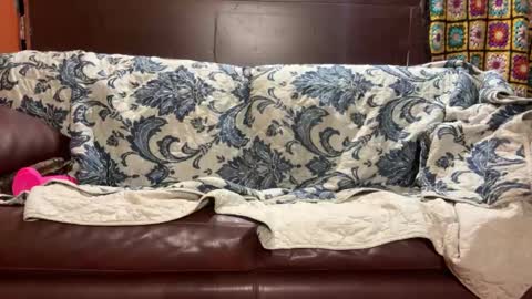 Snapshot of supremelifers chatting on 01/14/25, 07:48 Stony online show from 01/14/25, 07:48