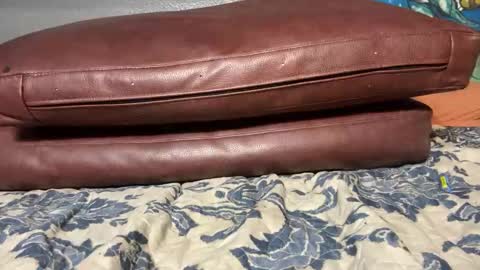 Snapshot of supremelifers chatting on 01/20/25, 11:56 Stony online show from 01/20/25, 11:56