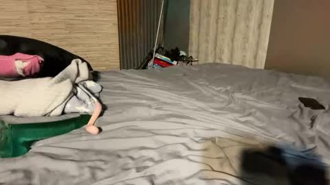 Stony online show from 01/08/26, 07:16