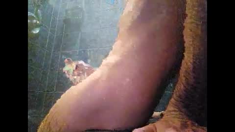 Snapshot of surferxzx chatting on 01/27/25, 12:54 surferxzx online show from 01/27/25, 12:54