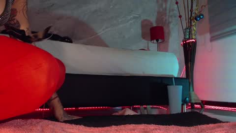 Snapshot of susan_hottie_ chatting on 12/17/24, 10:54    online show from 12/17/24, 10:54