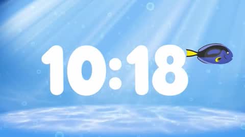 Susan online show from 11/18/25, 02:39