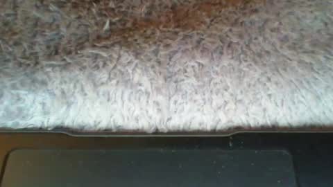 Suseee online show from 03/21/26, 03:44