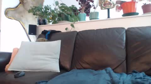 Snapshot of suv1 chatting on 03/11/25, 10:42 Otto online show from 03/11/25, 10:42