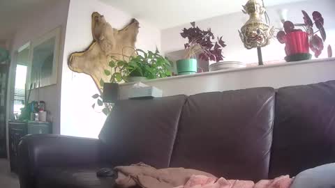 Snapshot of suv1 chatting on 10/07/25, 09:56 Otto online show from 10/07/25, 09:56