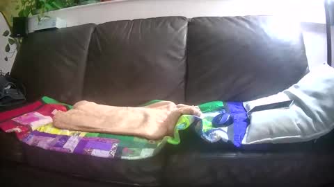 Snapshot of suv1 chatting on 10/26/25, 04:29 Otto online show from 10/26/25, 04:29