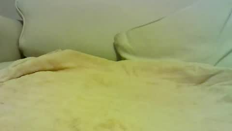 Peter online show from 01/10/26, 07:04