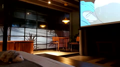 Snapshot of svenseries chatting on 02/19/25, 04:44 svenseries online show from 02/19/25, 04:44