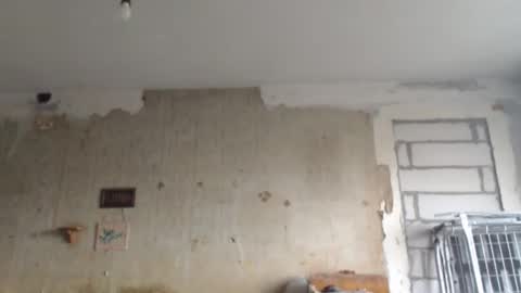 Sveti online show from 02/01/25, 02:02