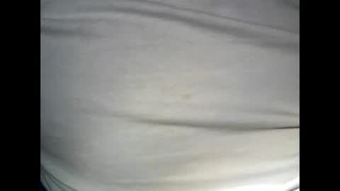 Snapshot of swedfred1 chatting on 12/26/24, 04:53 Brad online show from 12/26/24, 04:53