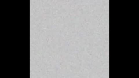 Eva and Tim online show from 10/26/25, 06:03