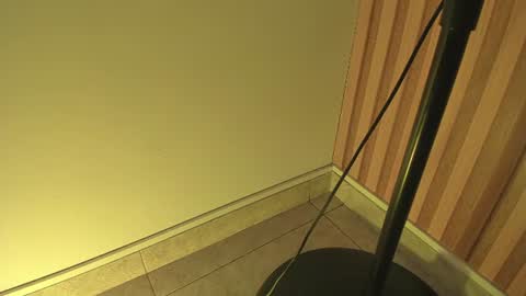 Snapshot of sweet__luna__ chatting on 07/14/26, 10:54 sweet__luna__ online show from 07/14/26, 10:54